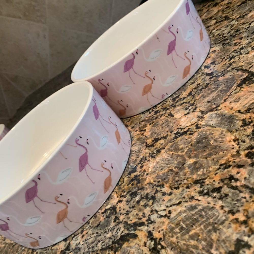 Small Dog Bowls
